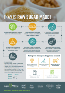 Sugar Made How Making Processing Raw